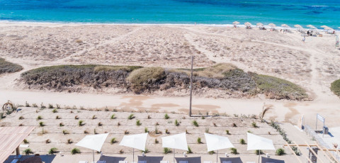 AMMOTHINES CYCLADIC SUITES - PLAKA BEACH image 9