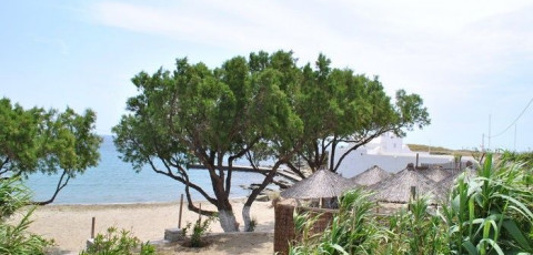 CAVOS BUNGALOWS & STUDIOS - AGIOS SOSTIS image 3