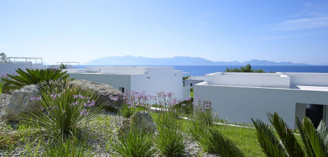 DIMITRA BEACH HOTEL & SUITES - AGIOS FOKAS BEACH image 10