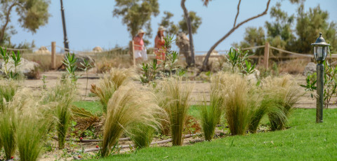 GLARONISSI BEACH - PLAKA image 9