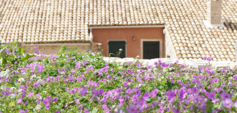 THE MERCHANTS HOUSE - PALEá PERíTHIA image 12