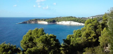 MILIA BAY HOTEL & APARTMENTS -  ALONISSOS image 15