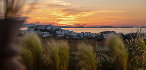 OPUNTIA SUITES - NAXOS TOWN image 4