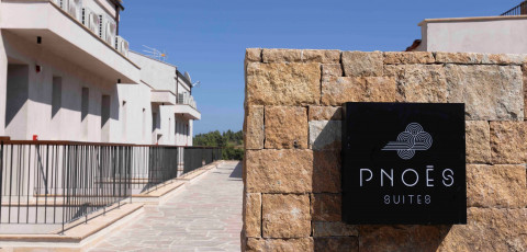 PNOES LUXURY SUITES - PALIOURI image 2