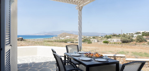 ILIADA VILLAS - AGIOS PROKOPIOS image 4