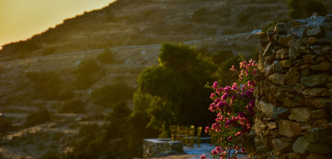 UNDER THE SUN CYCLADIC VILLAGE - EXO MERIA image 9